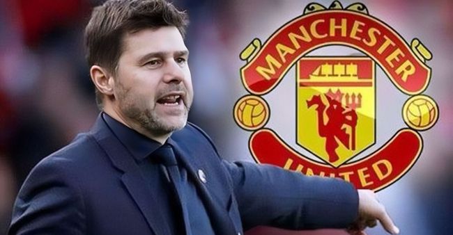 菠萝在线观看高清电视剧