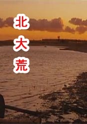 国产日产久久高清